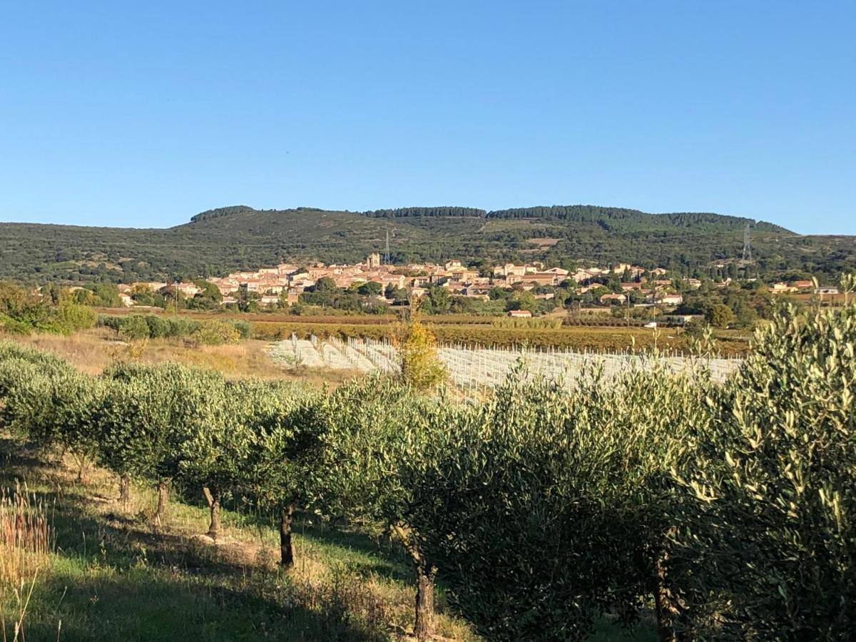 Val Des Bruyeres - Gite 15Mn Pezenas Avec Terrasse Et Cour Close - Parking Privatif Securise - Wifi Ftth Gratuit Neffies المظهر الخارجي الصورة