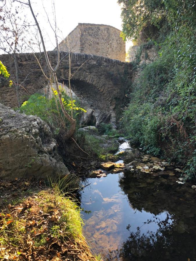 Val Des Bruyeres - Gite 15Mn Pezenas Avec Terrasse Et Cour Close - Parking Privatif Securise - Wifi Ftth Gratuit Neffies المظهر الخارجي الصورة