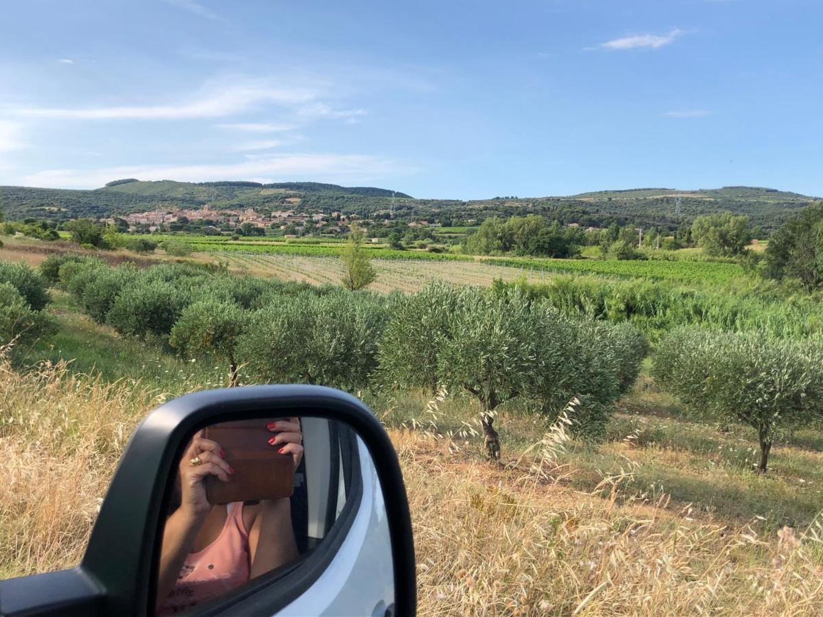 Val Des Bruyeres - Gite 15Mn Pezenas Avec Terrasse Et Cour Close - Parking Privatif Securise - Wifi Ftth Gratuit Neffies المظهر الخارجي الصورة